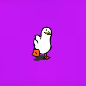 Meet your Posher, Esteban